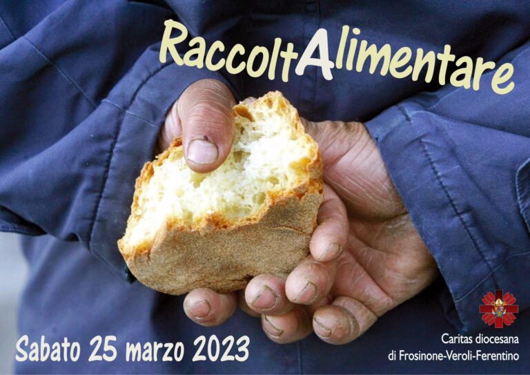 Raccolta alimentare 2023